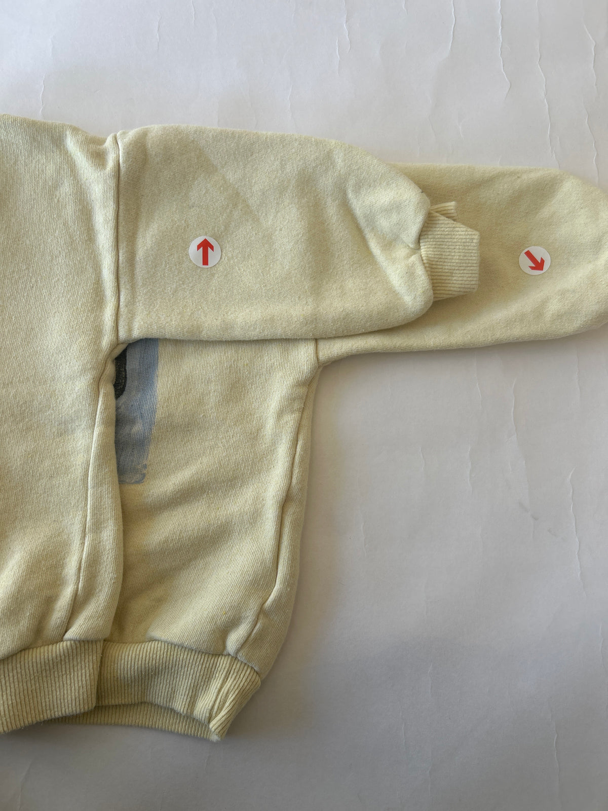 Bobo Choses Beige van dog sweatshirt