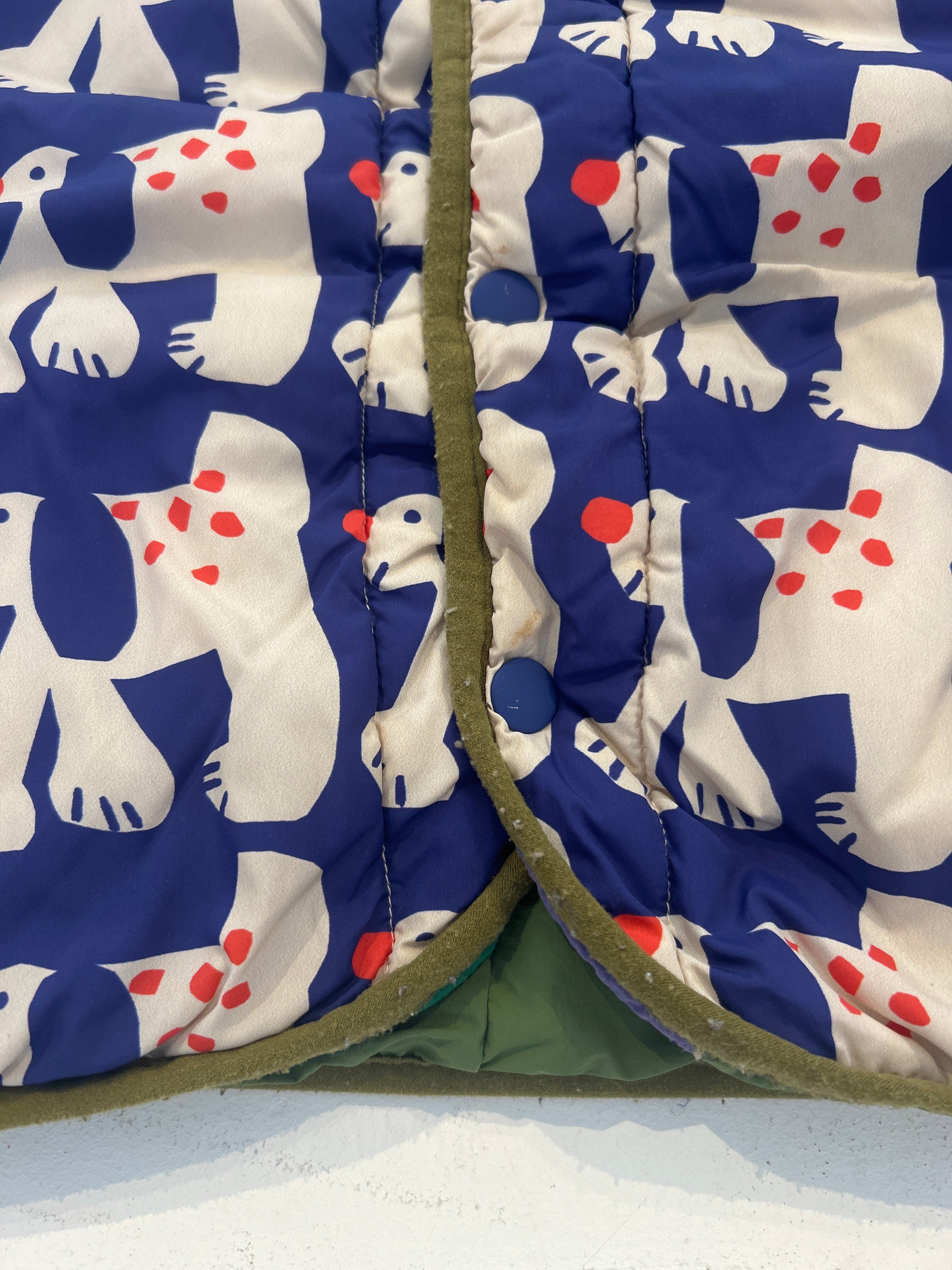 Bobo Choses Reversible green fairy dog jacket