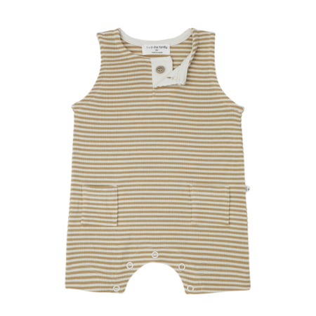 One-Piece