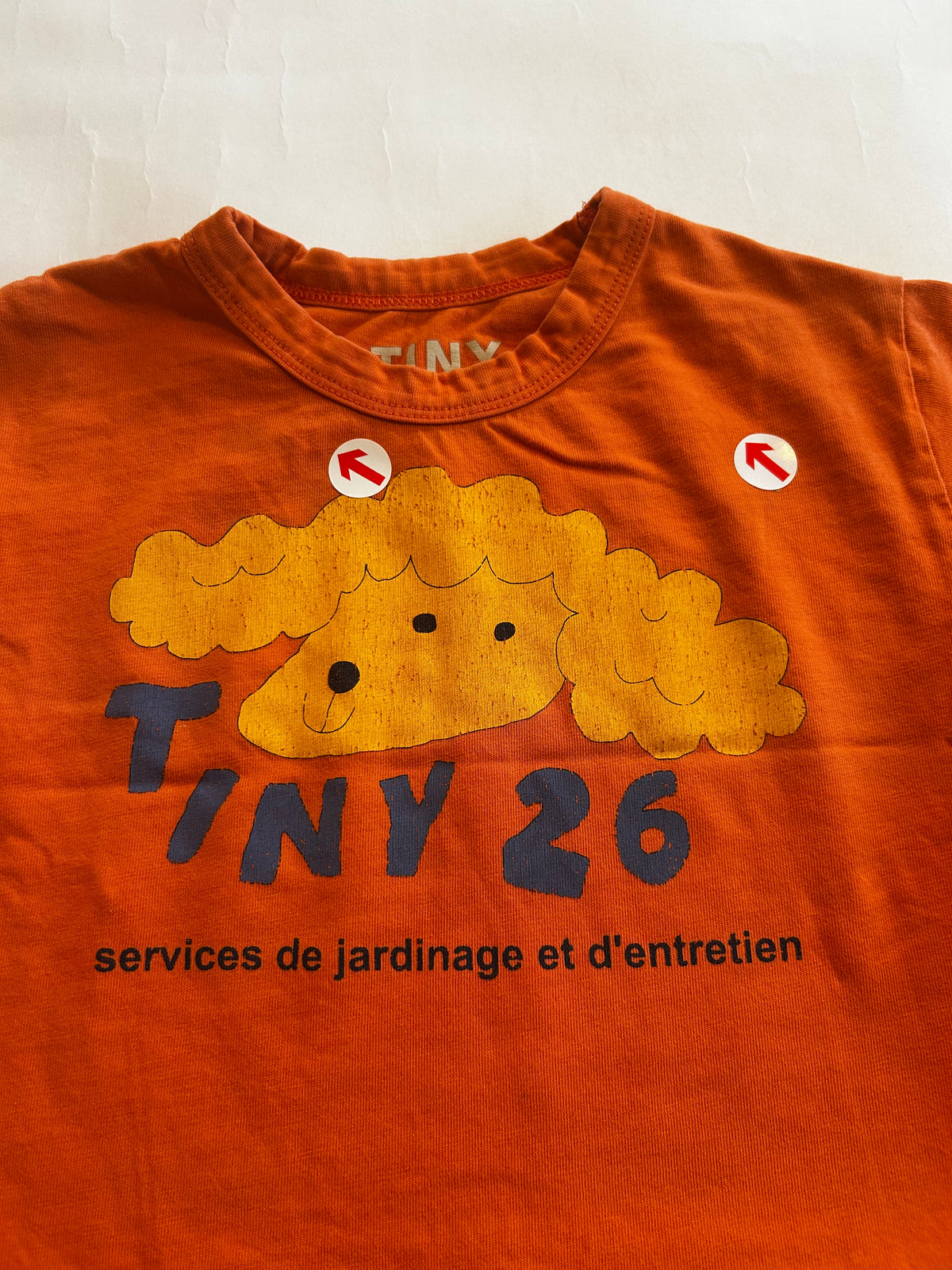 Tiny Cottons Orange dog graphic sweatshirt
