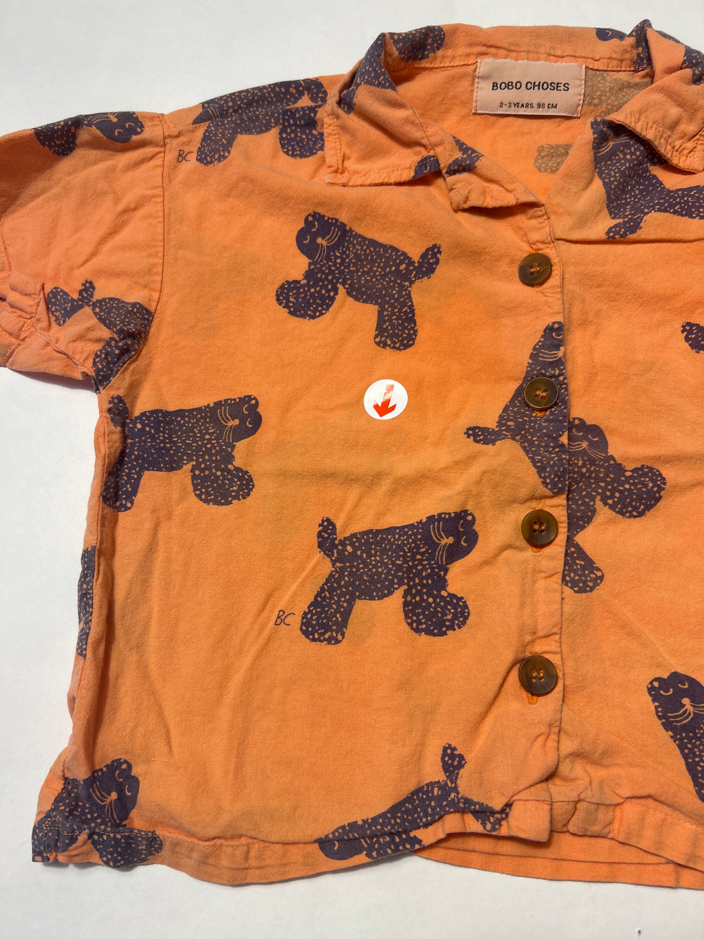 Bobo Choses Big cat print shirt