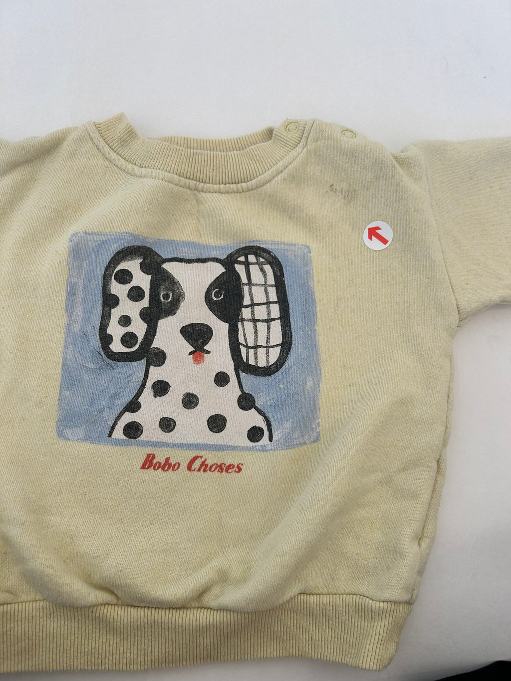 Bobo Choses Beige van dog sweatshirt