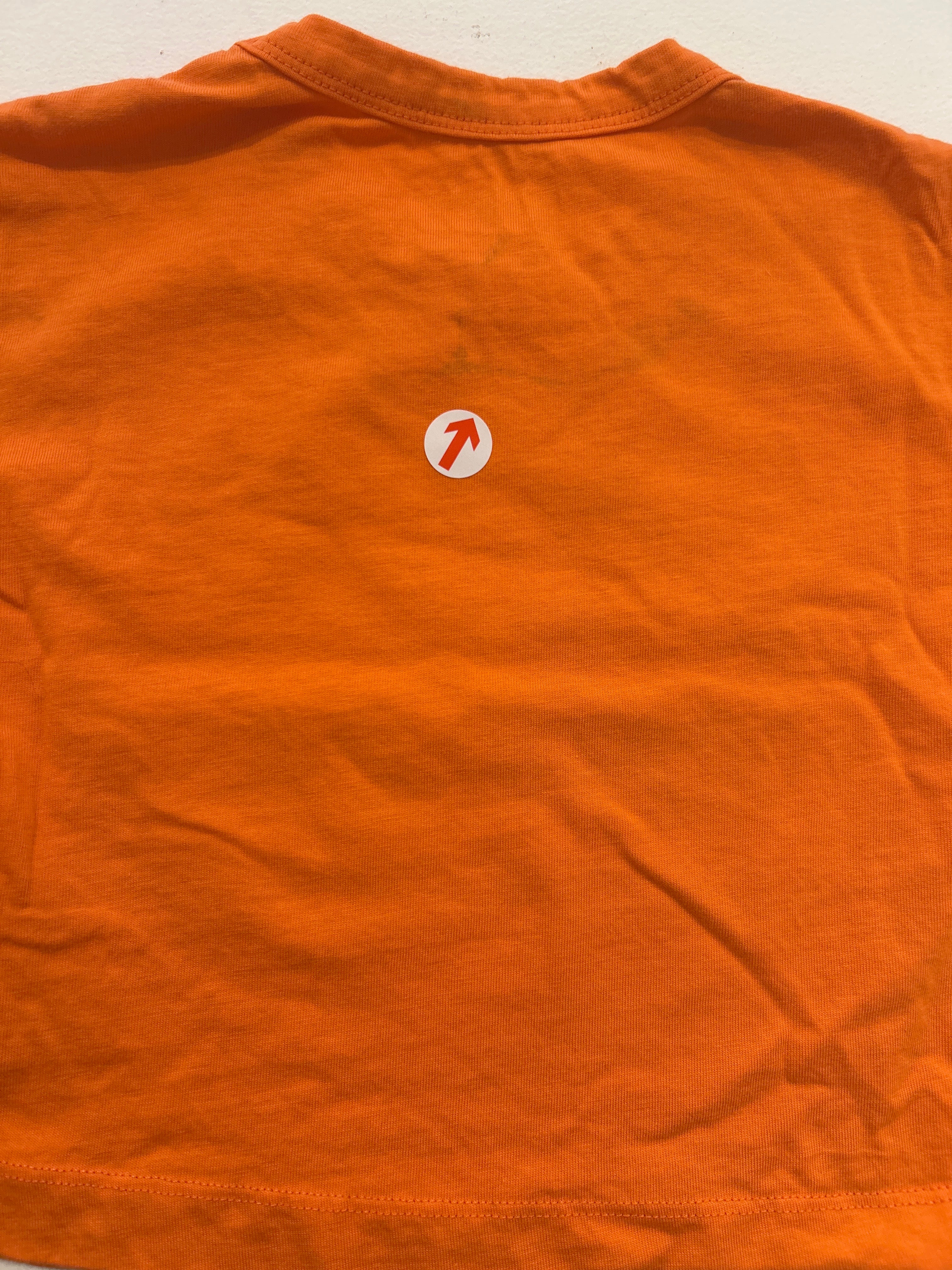 tiny cottons Orange yellow dog graphic tee 2y