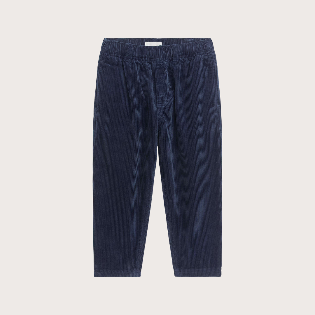 1 + in the family Dark blue corduroy trousers 18m