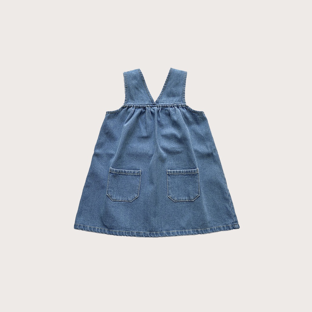The Simple Folk Denim dress
