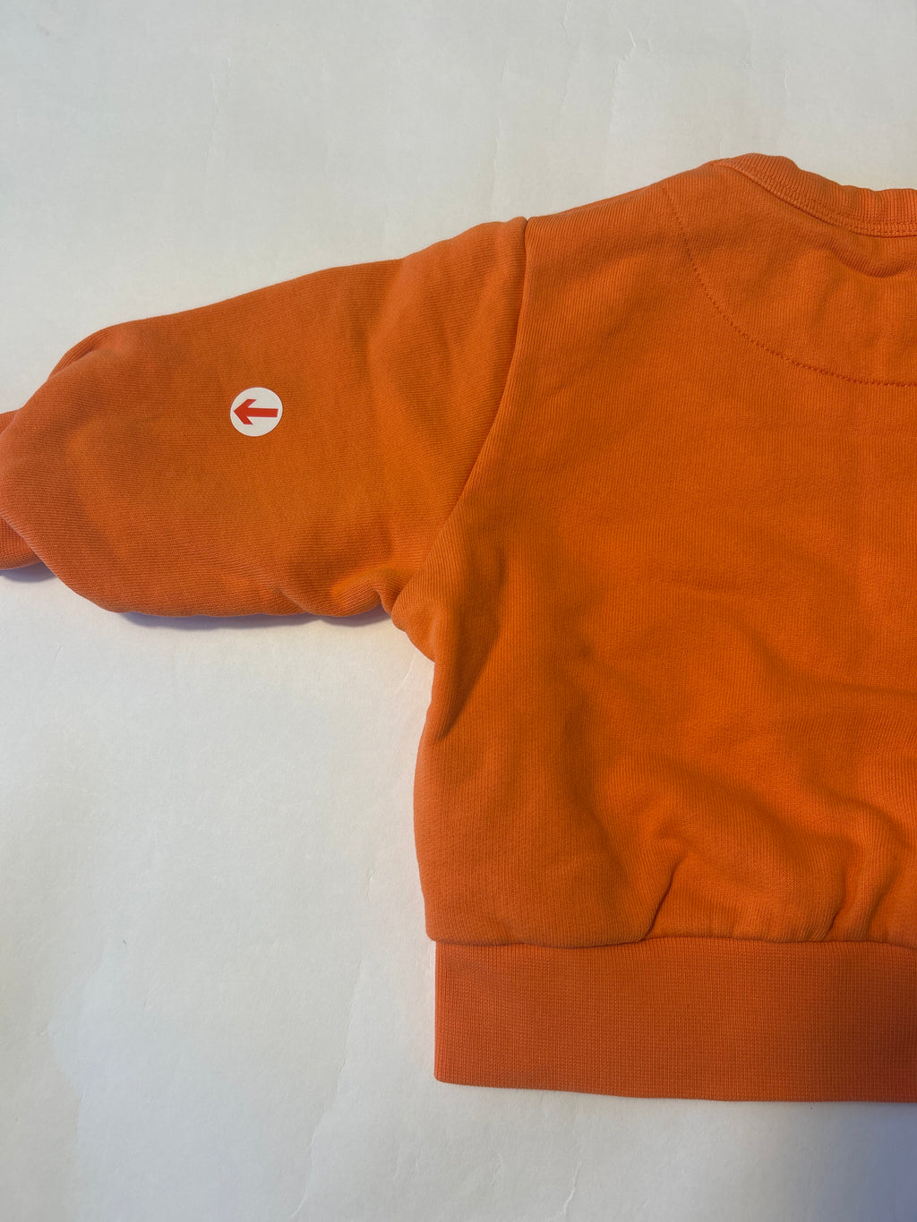 tiny cottons Orange dog graphic sweatshirt