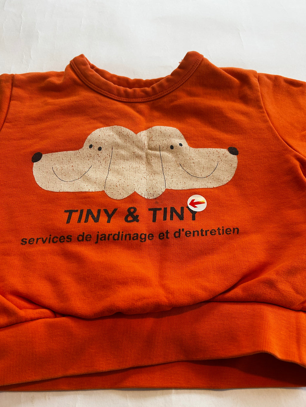 Tiny Cottons Orange dog graphic sweatshirt