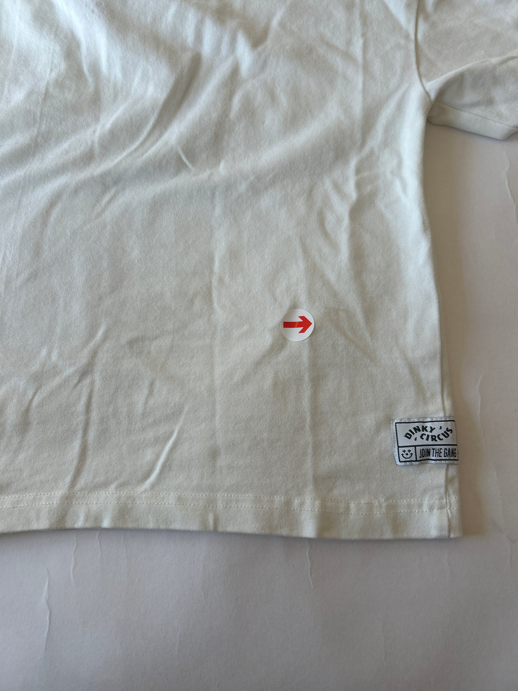 Dinky Circus White world fair tour t-shirt