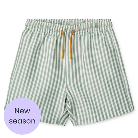 LIEWOOD Duke Green Stripe Swim Shorts