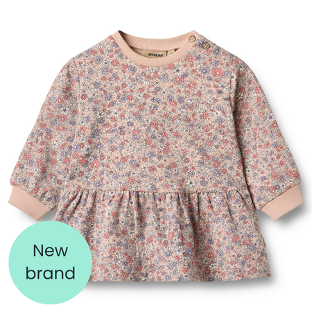 Rose dust zenia dress