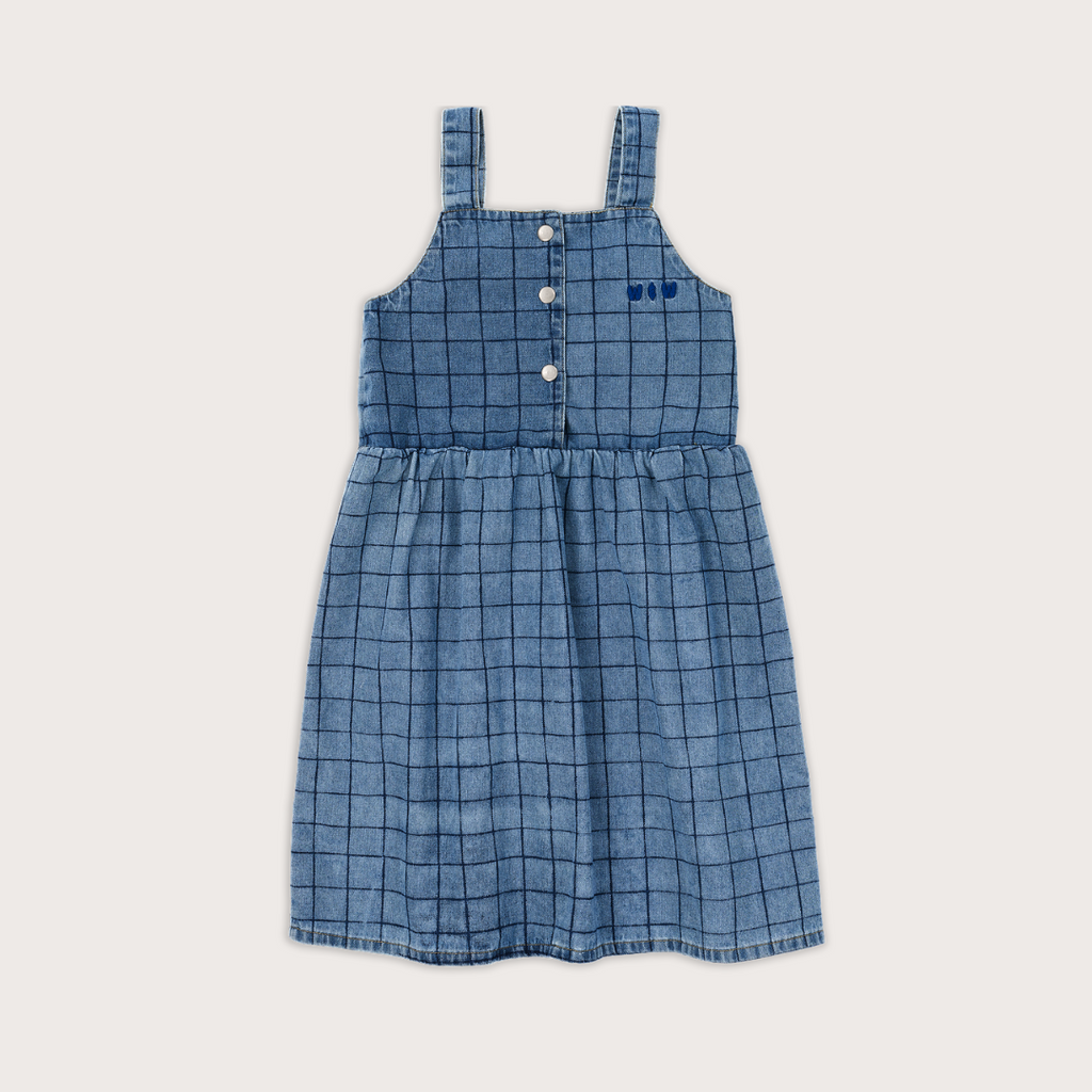 Wander & Wonder Denim checked sleeveless dress